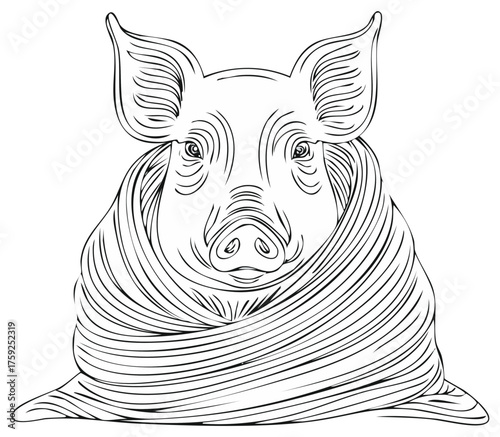 Detailed Pig Line Art Illustration of Domestic Animal Swaddled by Linear Design