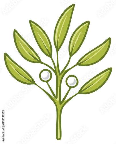 Green mistletoe branch with two white berries in a simple illustration style