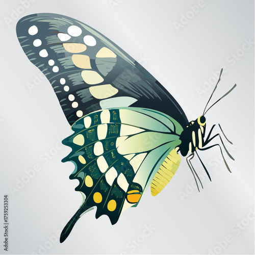 A detailed illustration of a butterfly with intricate patterns and vibrant colors, showcasing its delicate wings.