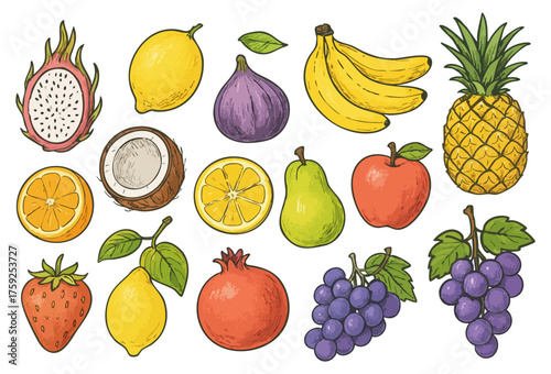 Fruit Banana Pineapple Dragonfruit Sketch Set