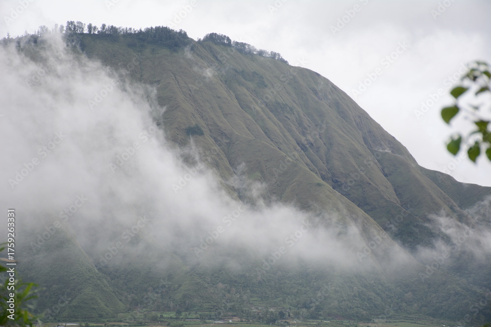 Obraz premium hill in the fog