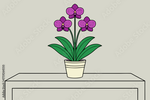 Purple orchid plant in a pot on a table