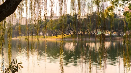 willow. Tranquil lakeside scene with weeping willow and pastel sky mirrored in calm waters. travel magazines, destination branding, designed for outdoor magazines and nature guides.