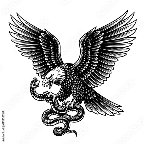 Eagle Gripping a Snake in Engraving Style illustration