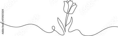 Continuous one line drawing of rose flower vector illustration
