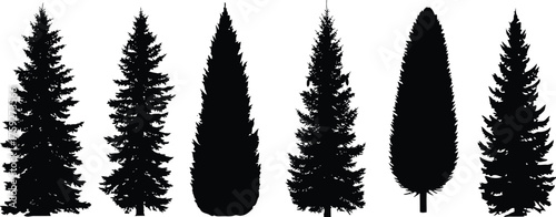 Vector art of group of coniferous and cypress tree silhouettes