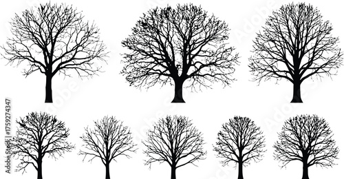 Vector art of collection of bare deciduous tree silhouettes in winter