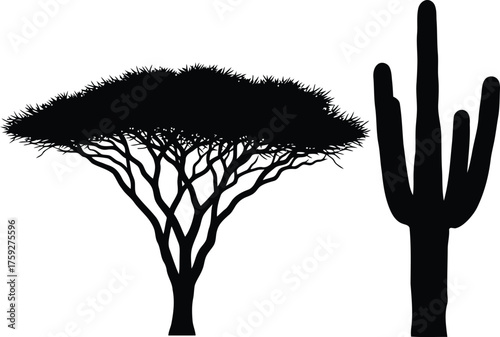 Vector art of silhouette of an acacia tree and a saguaro cactus