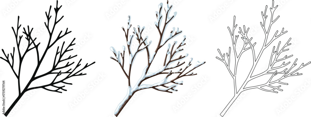 Obraz premium Set of winter tree branches in silhouette, color, and outline styles