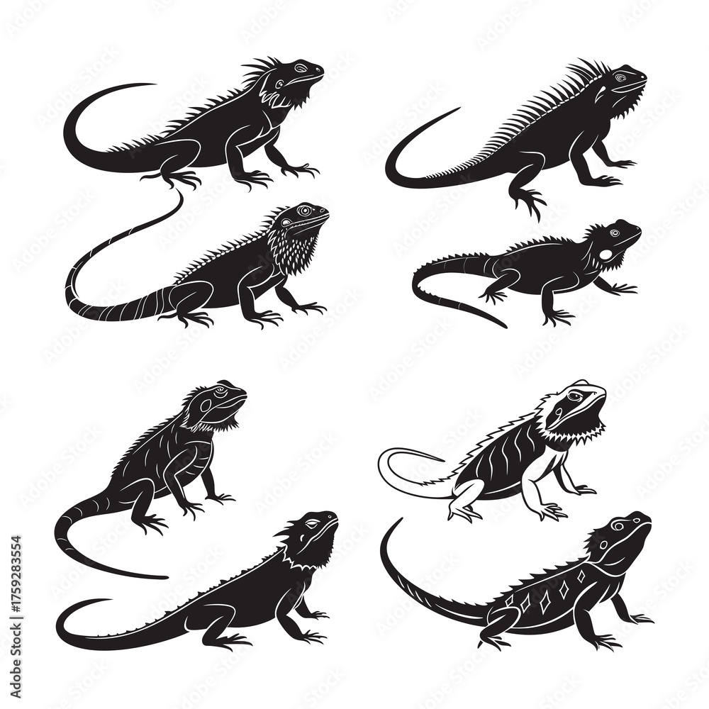 Fototapeta premium Bearded Dragon Iguana svg