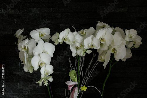 Stunning display of pure wh...