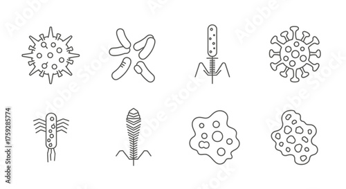 Collection of diverse microscopic organisms scientific hand drawn icons set medical biology vector