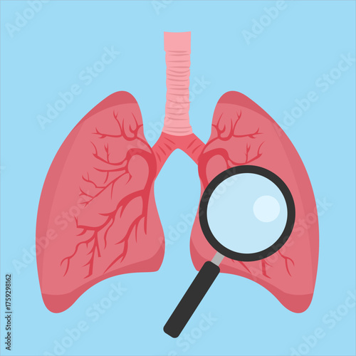 Illustration of lungs being examined with a magnifying glass, symbolizing medical diagnosis and health check, flat art design style.
