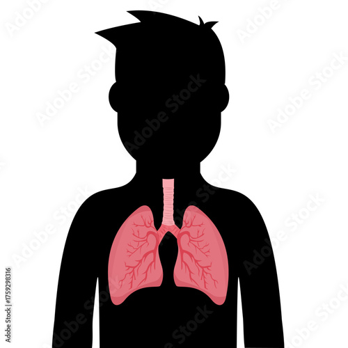 Silhouette of a human body with visible lung organs inside, used for anatomy and health education, flat art design style.
