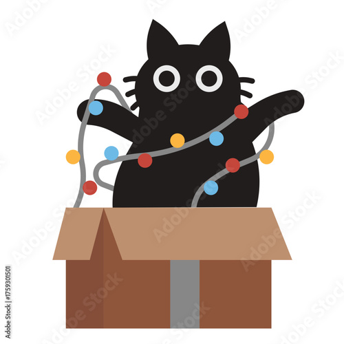 Cat in Christmas box