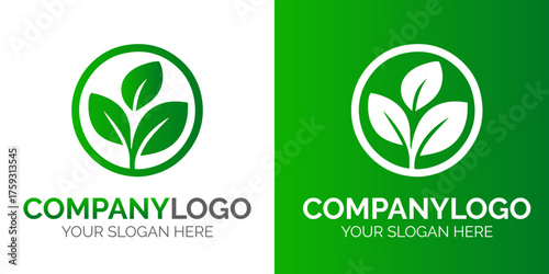 Eco friendly organic natural product green flat logo vector graphic