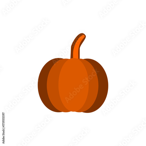 pumpkin on a white background