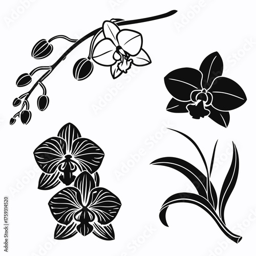 Vector art of orchid flower and leaf silhouettes for design needs