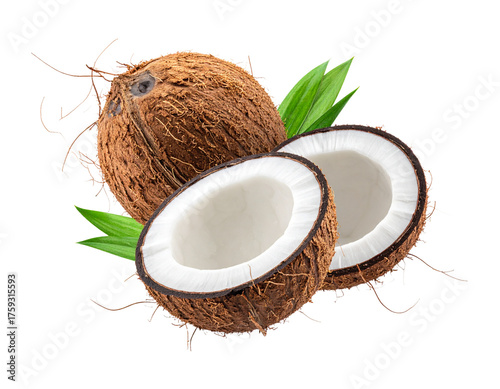 coconut on white background