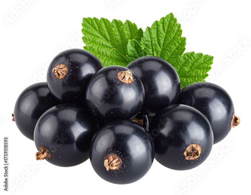 black currant isolated on white