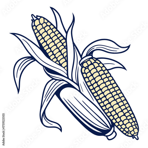 delaware sweet corn with leaves