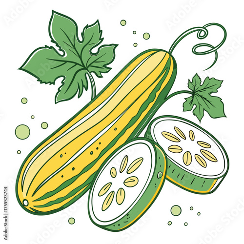 cucumber on white background 