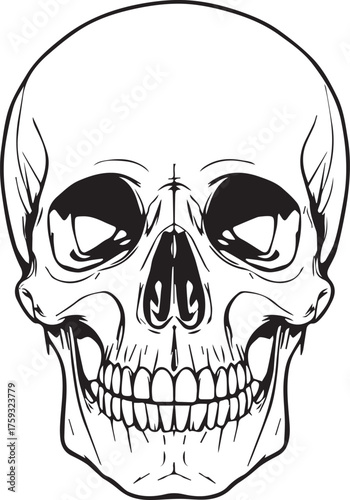 Black and white human skull illustration with stylized anatomical details in bold front-view line art