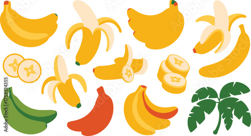 Colorful Assortment of Bananas Whole, Peeled, Sliced, Green, Red, and Banana Tree Leaves