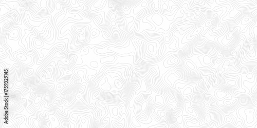 white topography map geography relief diagram texture design. Topography white background and black line world map texture design. Lines Topographic contour lines grid map seamless pattern.	
