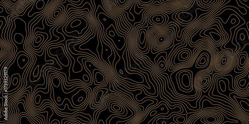 Black topography map geography relief diagram texture design. Topography background and black line world map texture design. Lines Topographic contour lines grid map seamless pattern.	