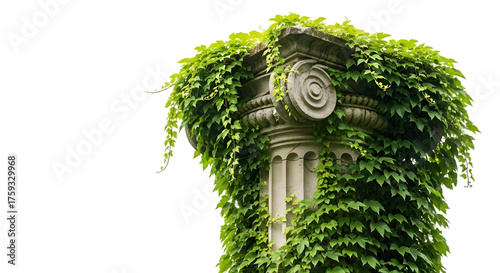 Ancient stone column overgrown with green ivy, isolated on transparent background