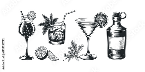 Collection of Illustrated Alcoholic Drinks and Citrus Slices