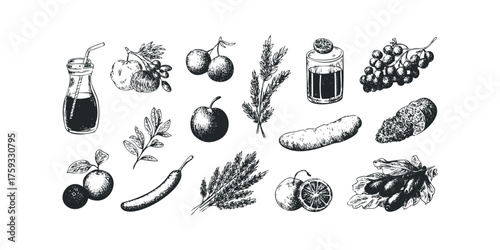 Collection of Hand-Drawn Produce and Beverages