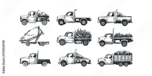 Collection of vintage pickup trucks loaded with foliage
