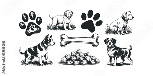 Collection of stylized dogs and pet accessories