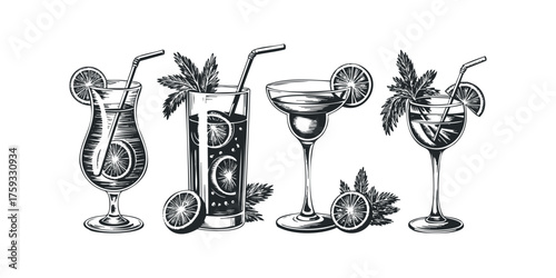 Four stylized cocktails with citrus and mint garnishes