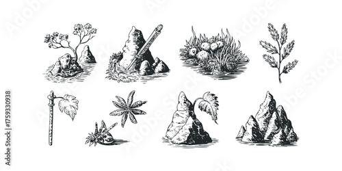 Set of stylized botanical and geological sketches