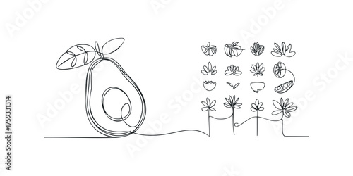Single line drawing of avocado with leaves and abstract plant shapes