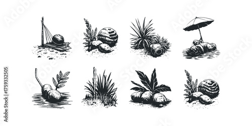 Still life collection of various objects