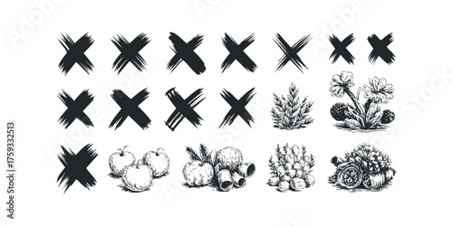 Hand Drawn X Marks and Harvested Produce Collection