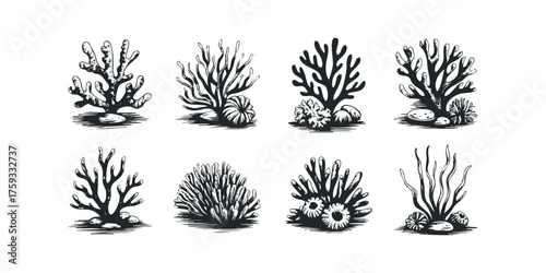 Set of eight black and white hand-drawn corals and sea anemones