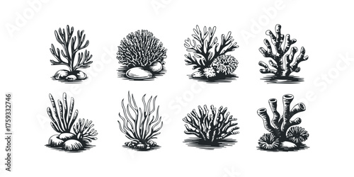 Collection of Eight Hand-Drawn Marine Coral Silhouettes
