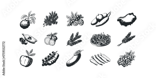 Collection of Hand Drawn Fruits and Vegetables on White