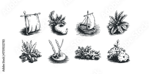 Collection of hand drawn botanical and nautical elements
