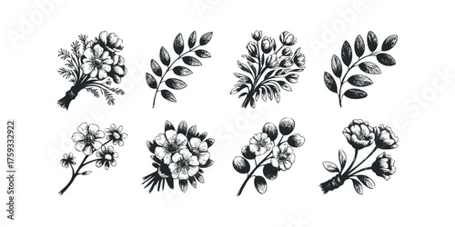Set of stylized black and white botanical drawings and floral bouquets