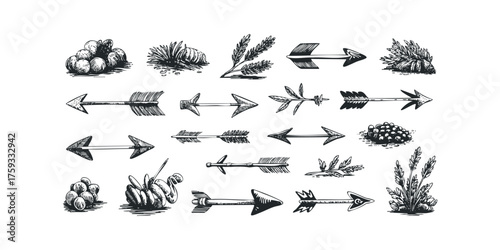 Collection of Hand Drawn Arrows and Nature Elements