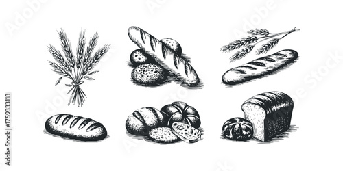 Variety of sketched breads and wheat stalks