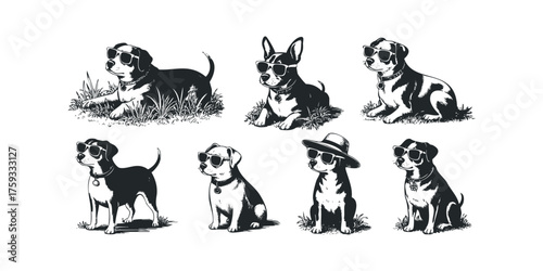 Seven Dogs Wearing Sunglasses Posed on Grass
