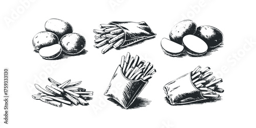 Hand Drawn Collection of Potatoes and French Fries