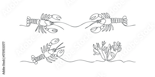 Line drawing of crayfish and seaweed